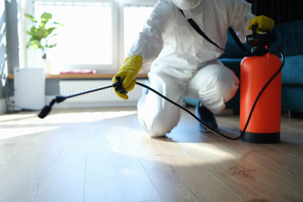 Reliable Sewage Cleanup contractor in Clarksville, OH by Trauma Clean Pros